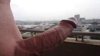 600 shemale porn videos